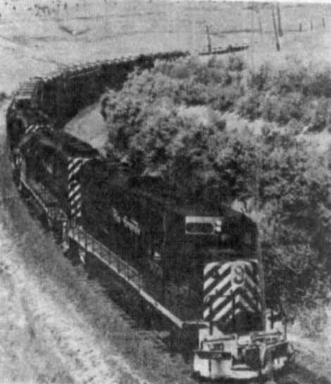 The Train Ride